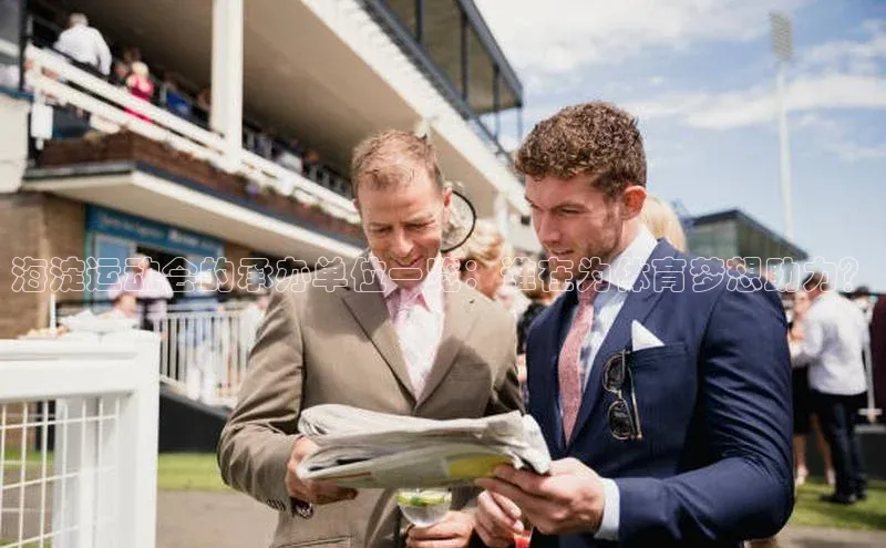 海淀运动会的承办单位一览：谁在为体育梦想助力？