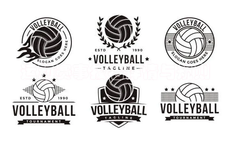 运动赛事报名详情与规则