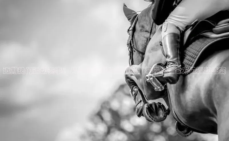 近期热门运动赛事：从马拉松到极限挑战，带你体验全方位运动盛宴