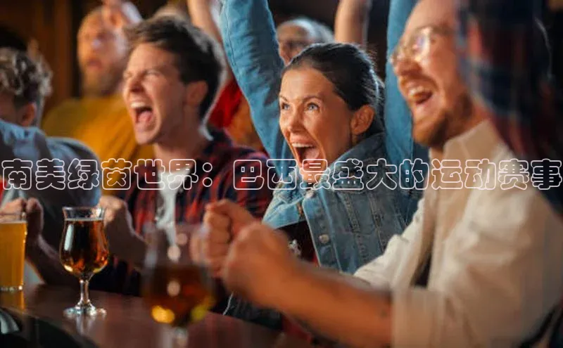 南美绿茵世界：巴西最盛大的运动赛事