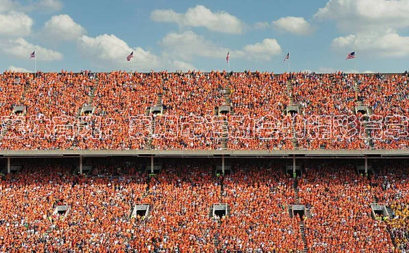 襄体育魂：襄阳市运动会的精彩篇章