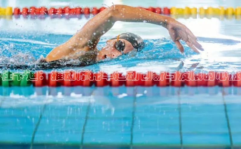 辉达娱乐平台app下载