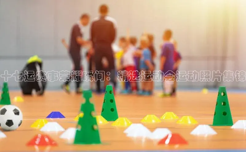 辉达娱乐下载官网