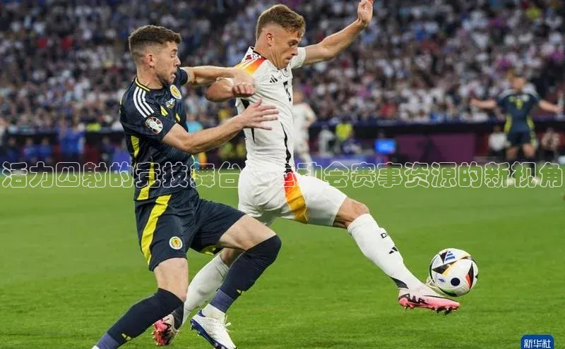 辉达娱乐app官网入口