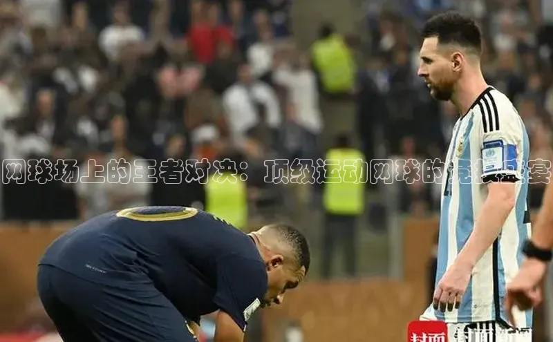 辉达娱乐平台app下载