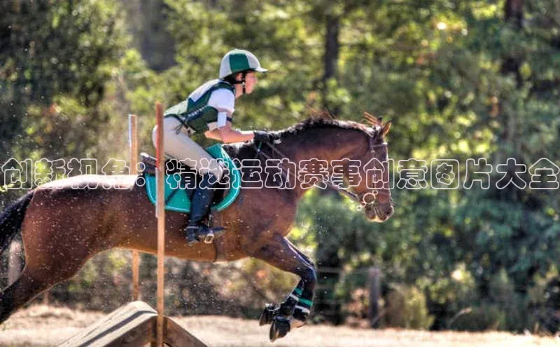 辉达app官方下载