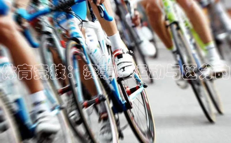 体育竞技：赛事、运动与区分的